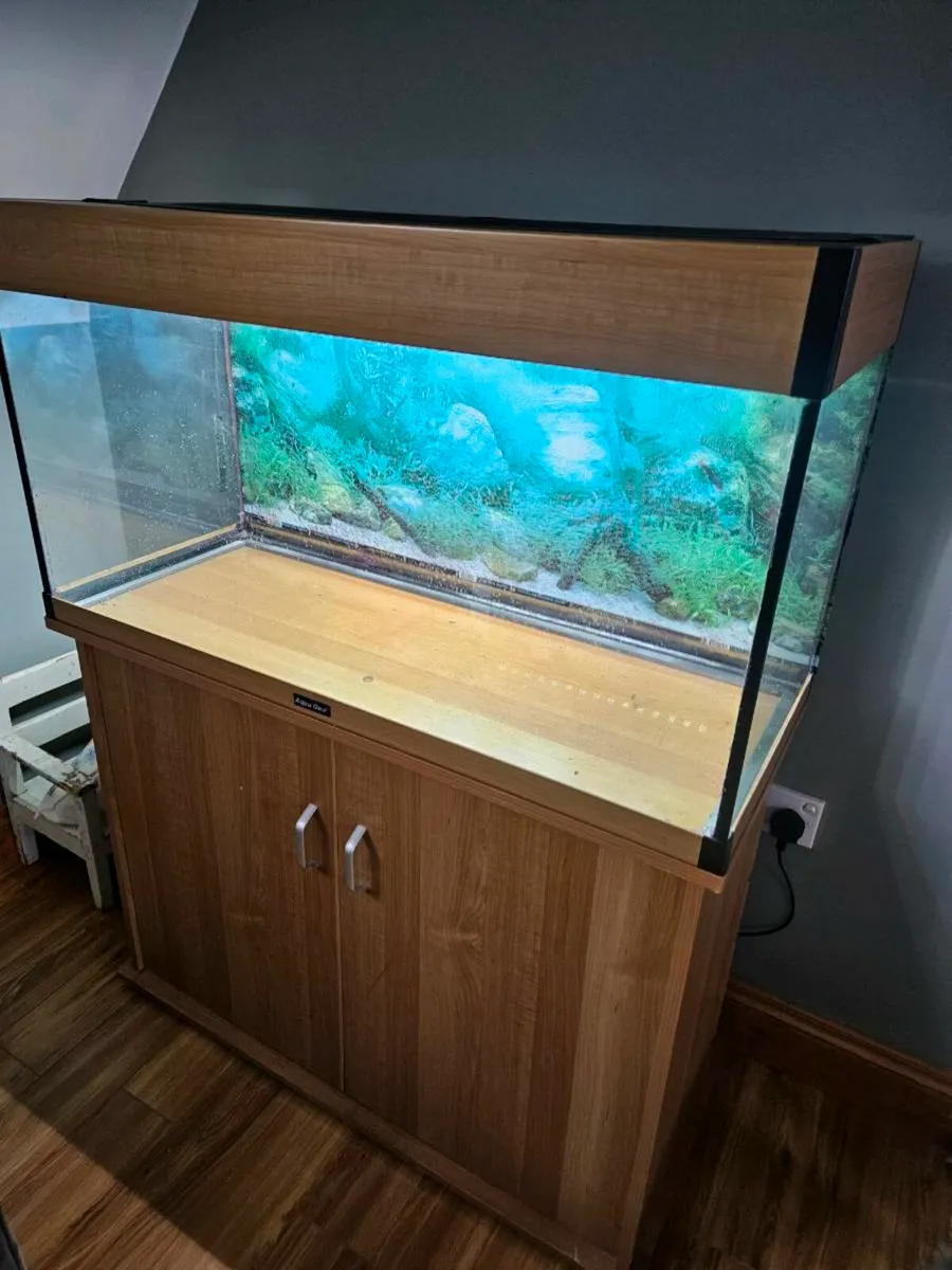 Fish tank - Image 1