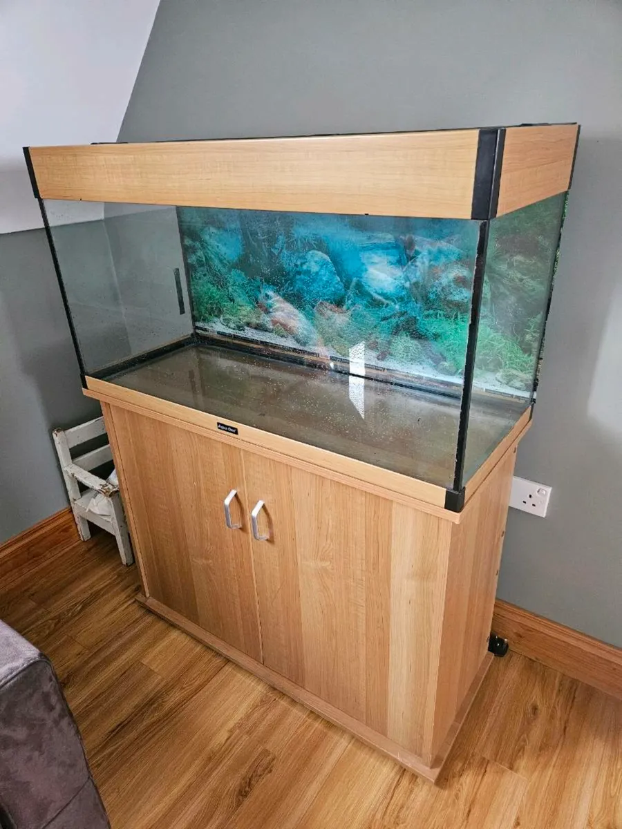 Fish tank - Image 3