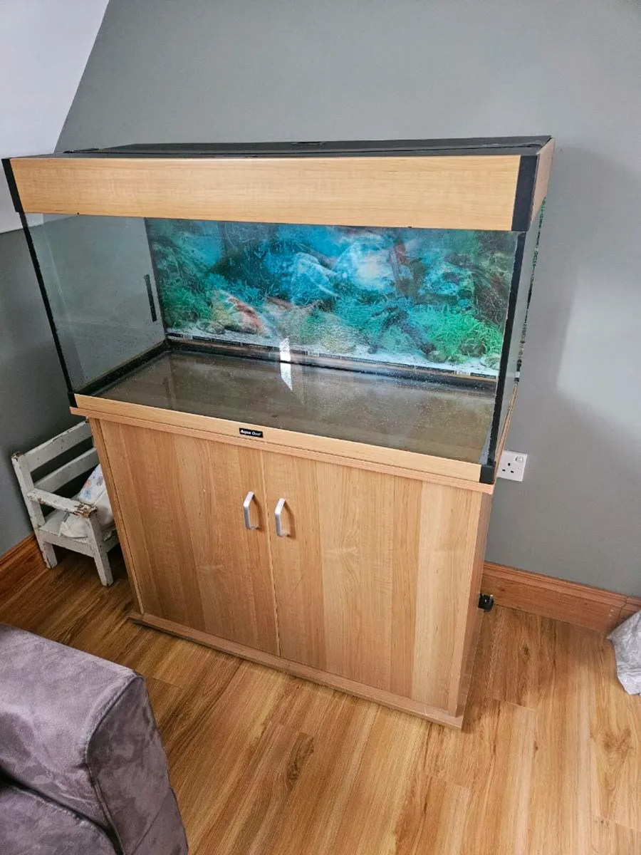 Fish tank - Image 4