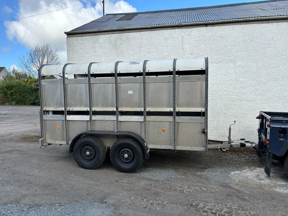 12ft IFOR WILLIAMS CATTLE TRAILER - Image 2