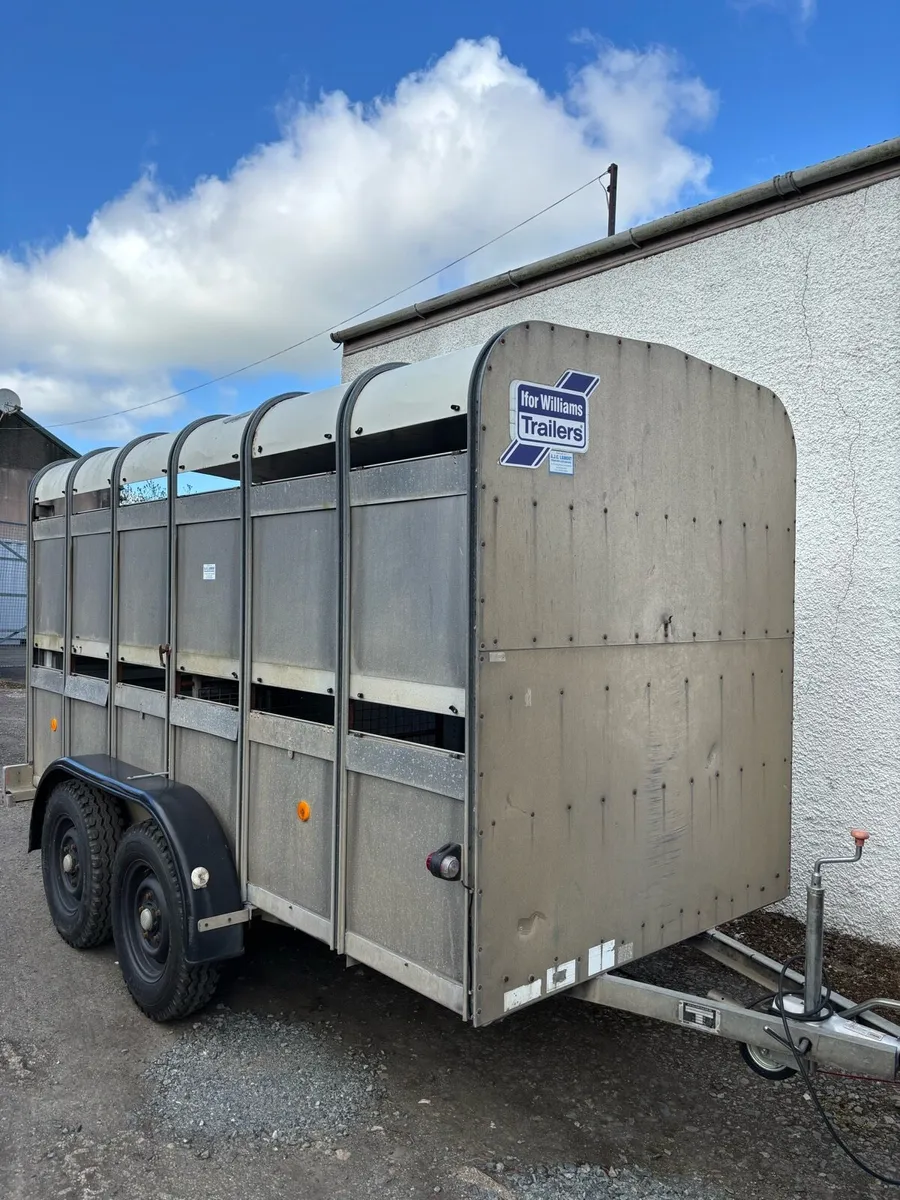 12ft IFOR WILLIAMS CATTLE TRAILER - Image 3