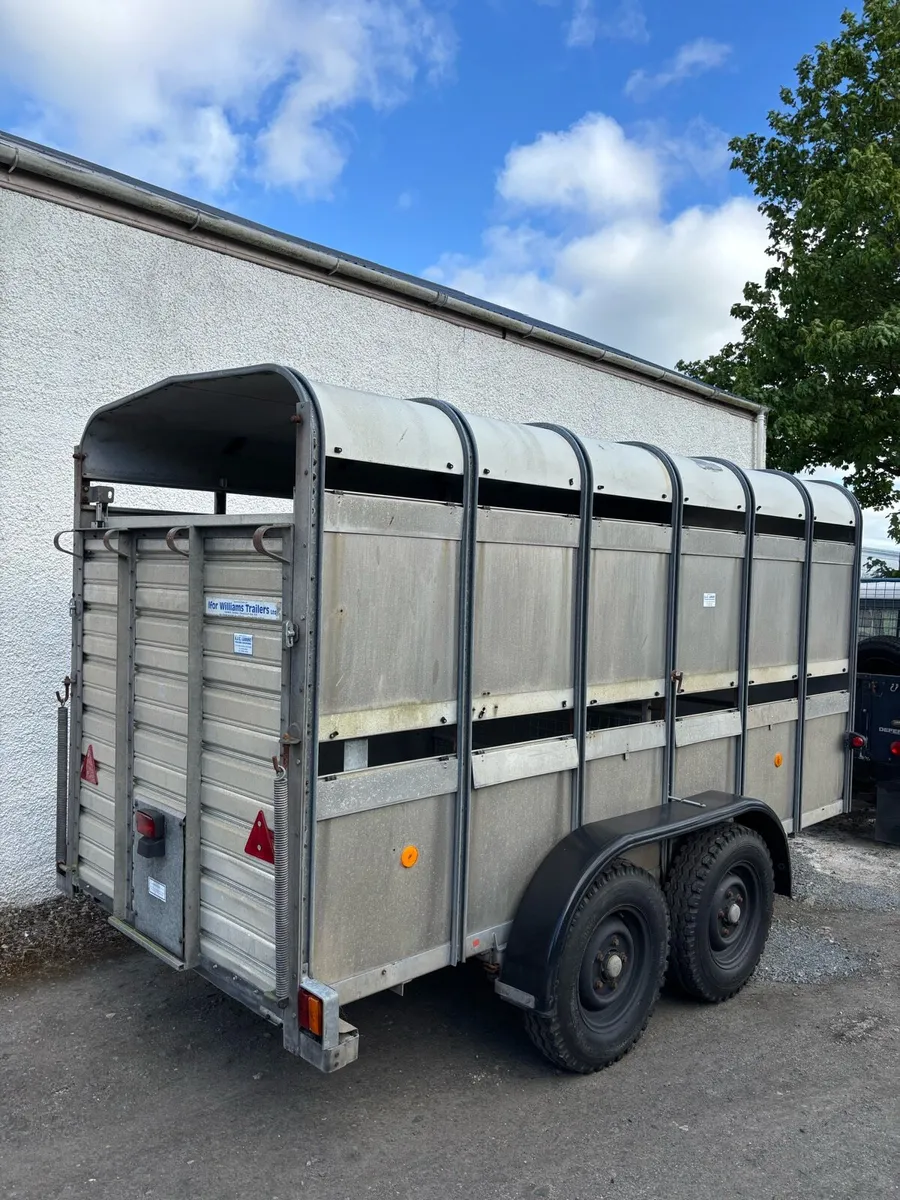 12ft IFOR WILLIAMS CATTLE TRAILER - Image 4
