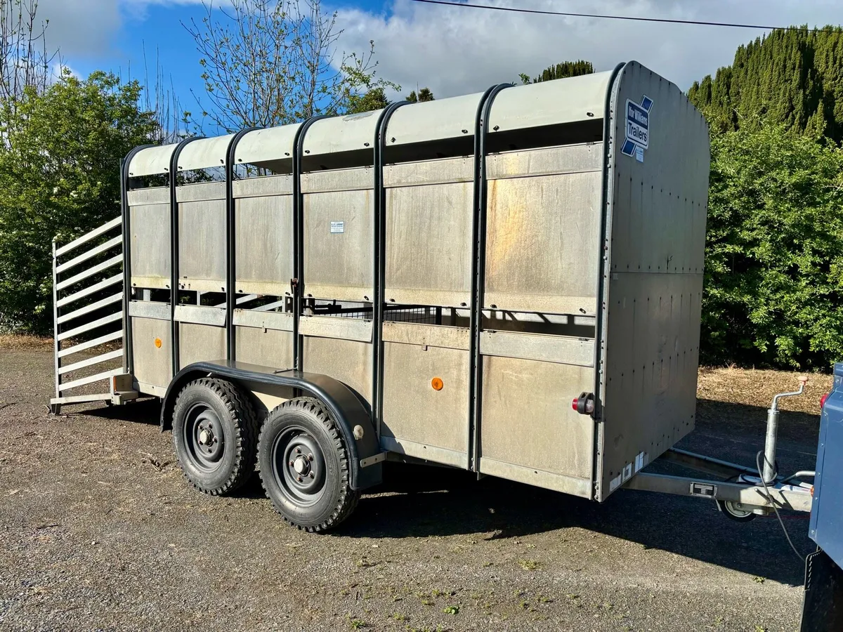 12ft IFOR WILLIAMS CATTLE TRAILER - Image 1