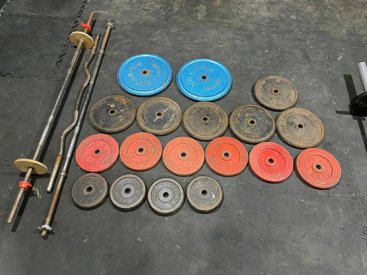 Full Vintage Weight Plate Set – York, Weider, Body - Image 1