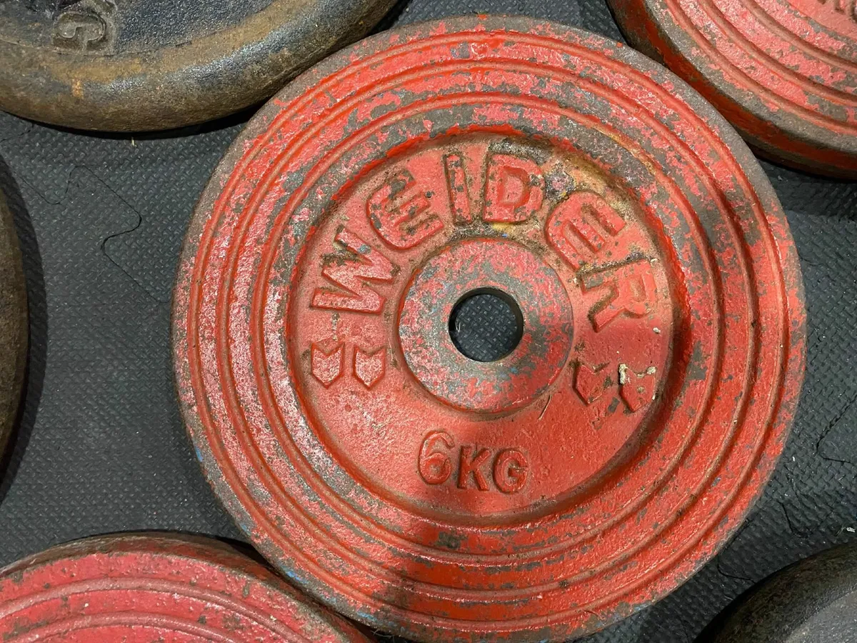 Full Vintage Weight Plate Set – York, Weider, Body - Image 2