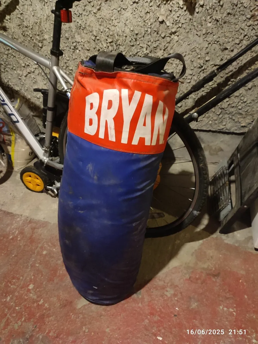 Punch bag - Image 1