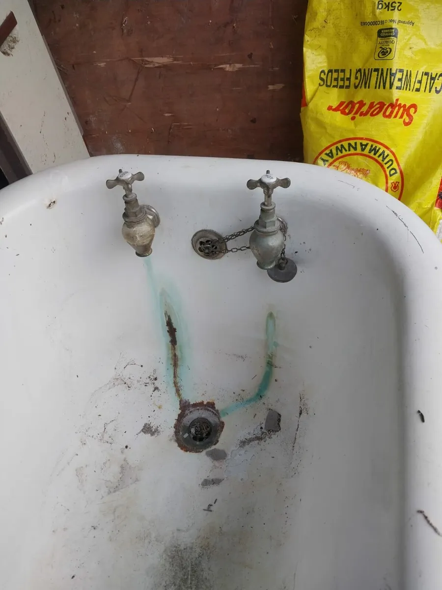 Vintage Roll Top Cast Iron Bath - Image 2