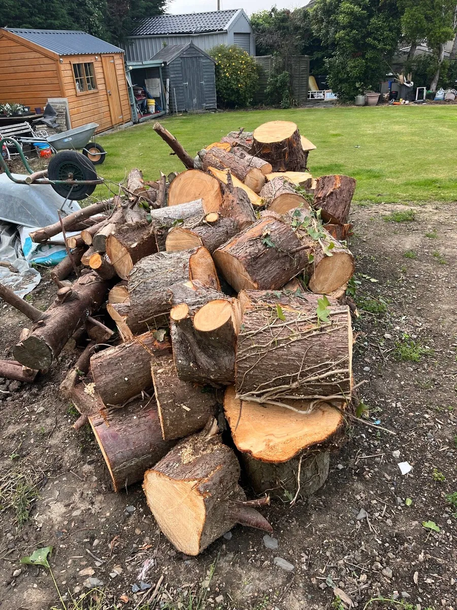 Firewood - Image 1