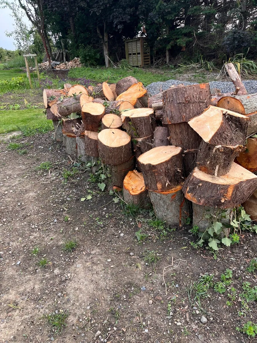 Firewood - Image 2