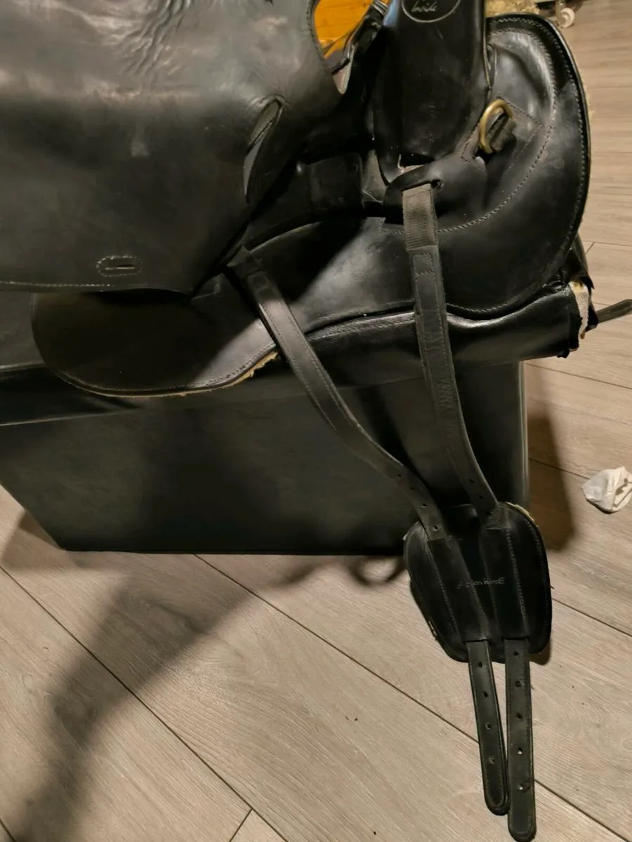 Podium endurance/trail riding saddle - Image 4