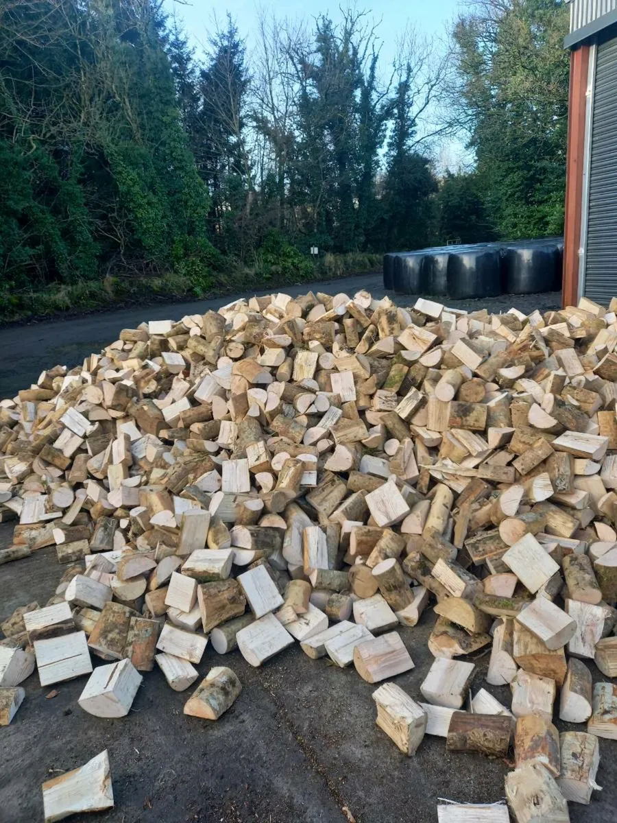 Firewood - Image 3