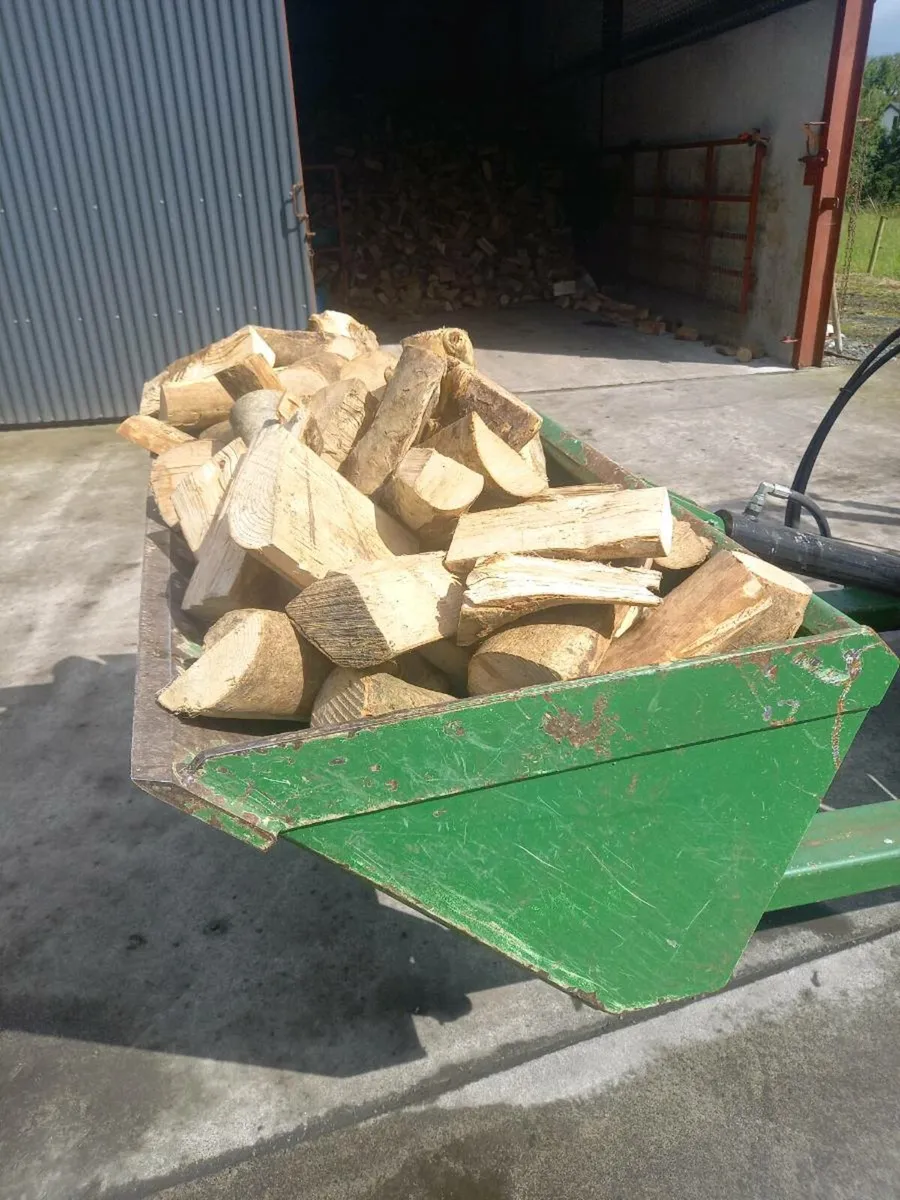 Firewood - Image 4