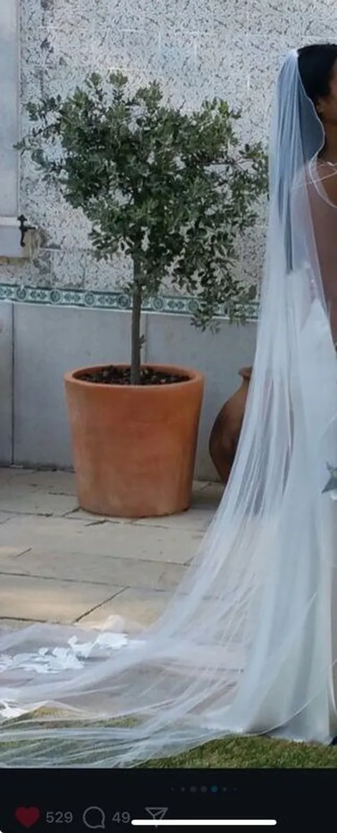 designer pearl colour  wedding dress and veil - Image 3