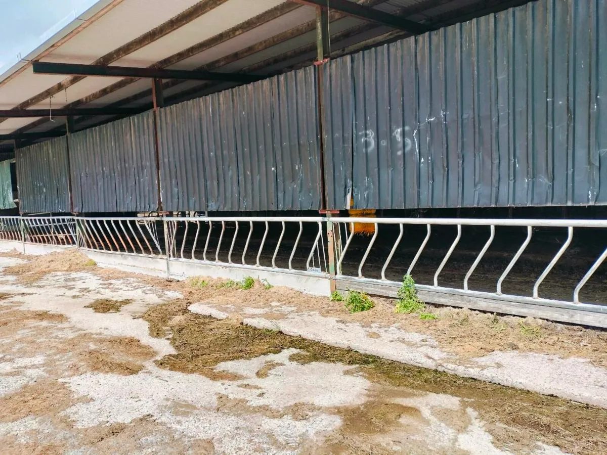 Feed barriers cow brush - Image 1