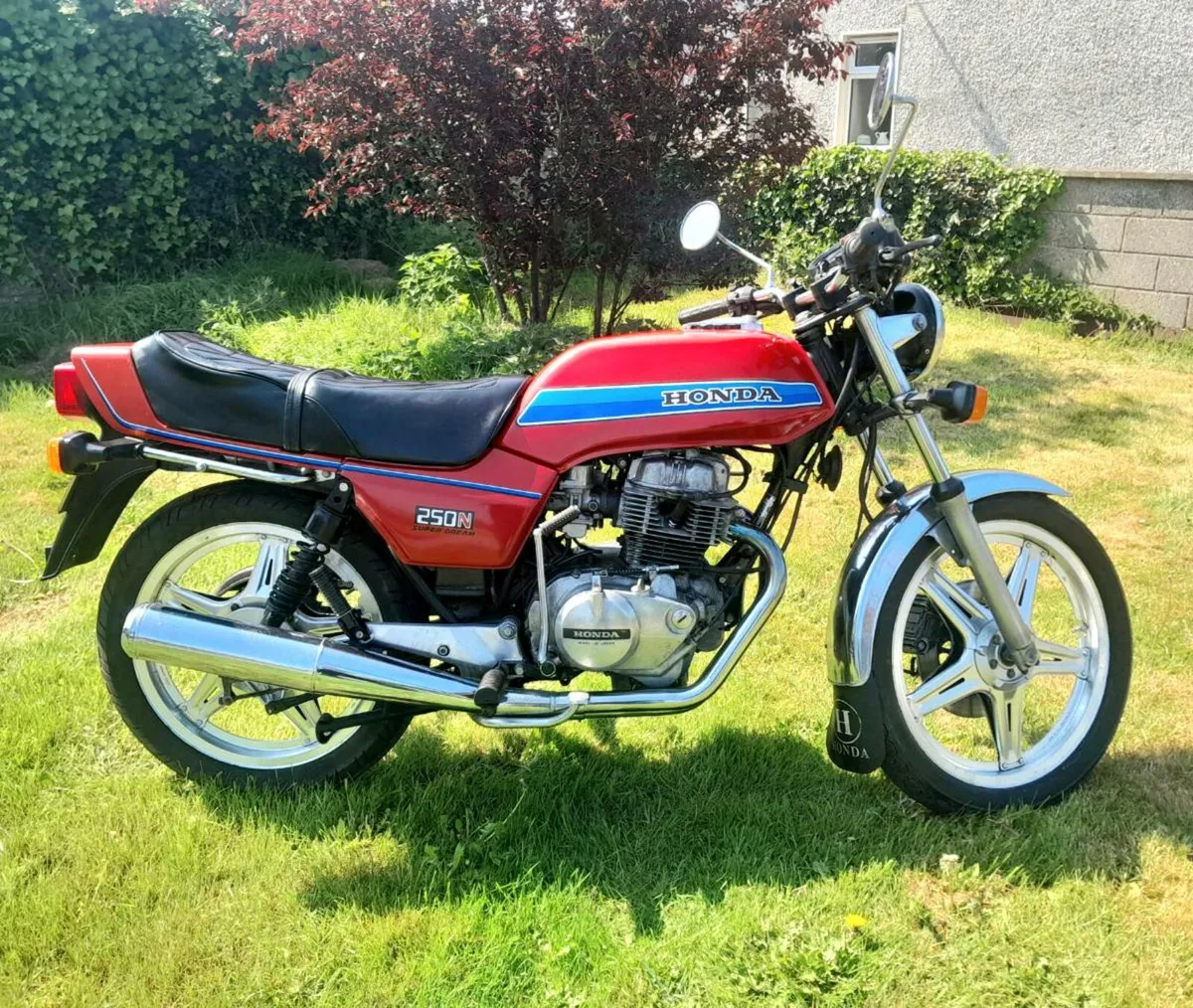 Honda 250n superdream - Image 4