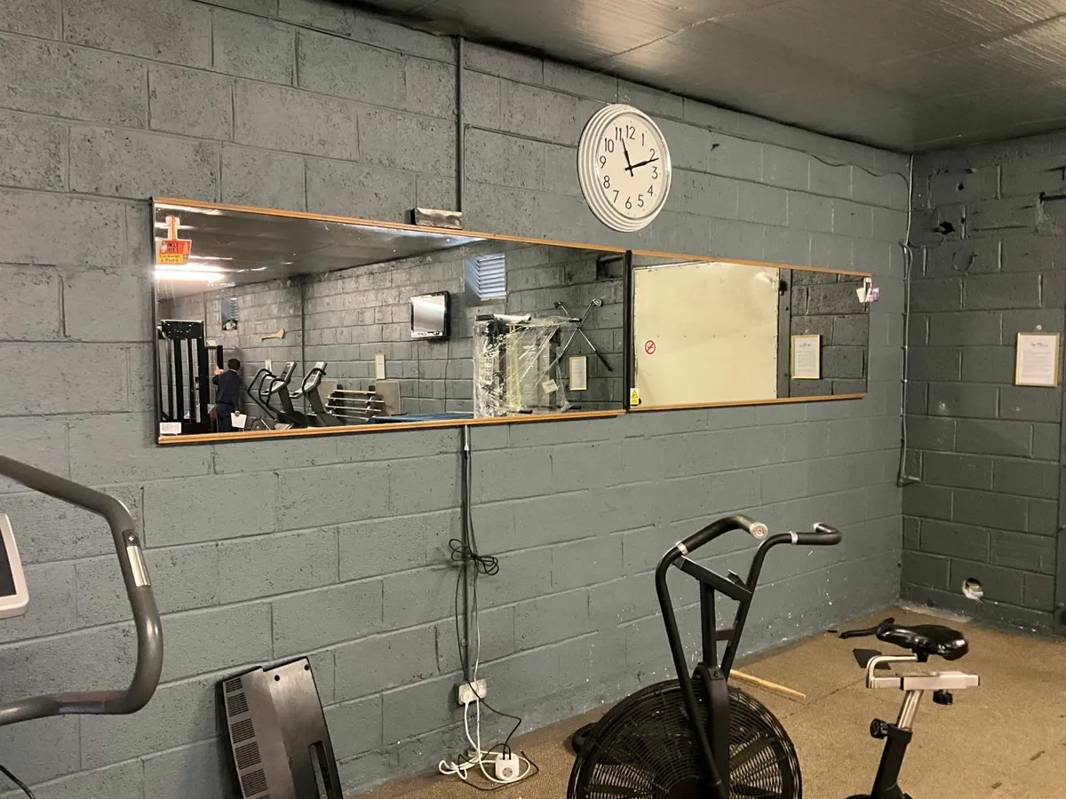 Online Auction Of Mounted Mirrors & More! - Image 2