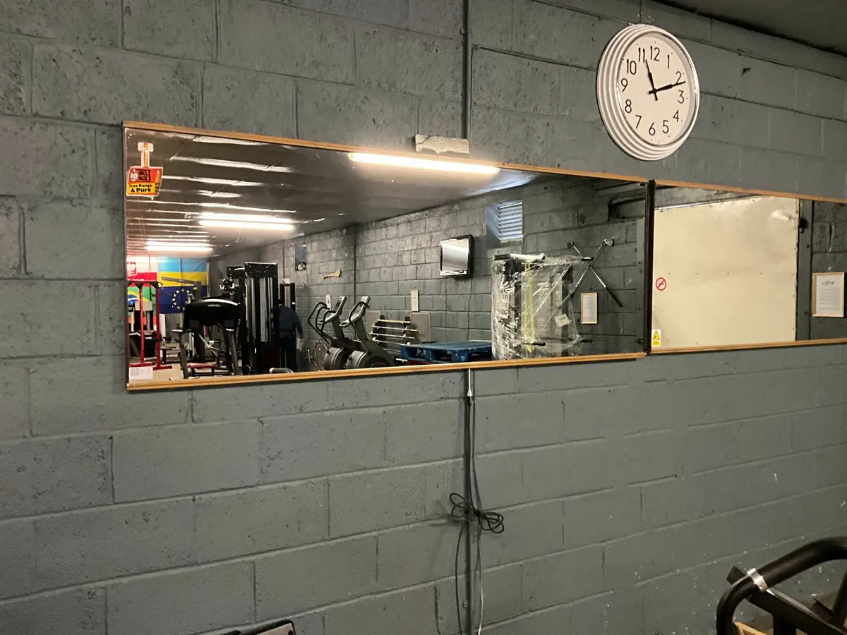Online Auction Of Mounted Mirrors & More! - Image 3