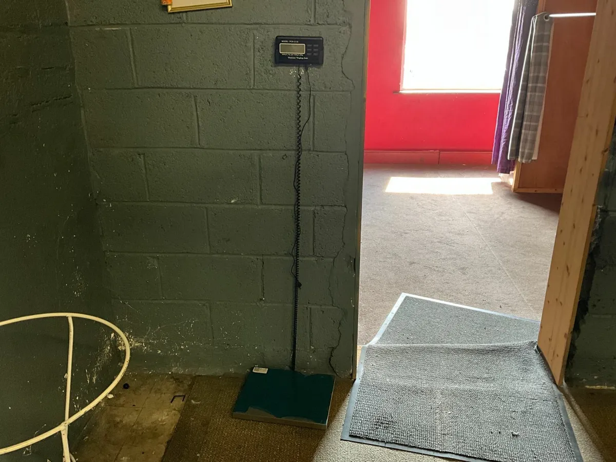 Online Auction Of An Electronic Weighing Scales - Image 3