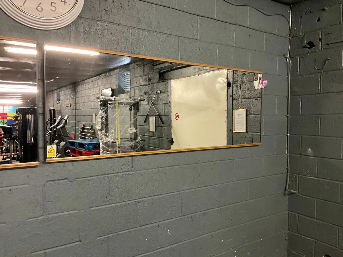 Gym Equipment Auction - Offsite - Image 2