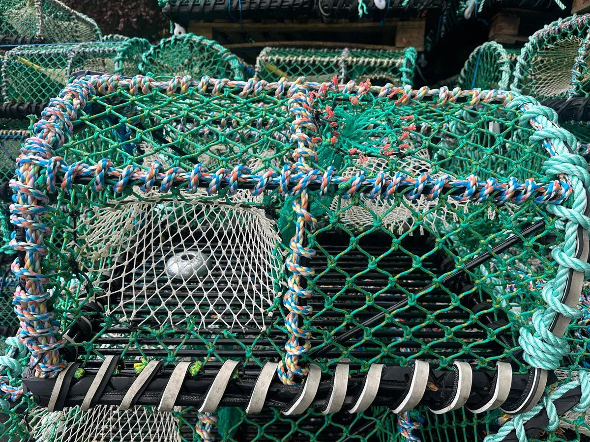 Lobster pots New and second hand - Image 3