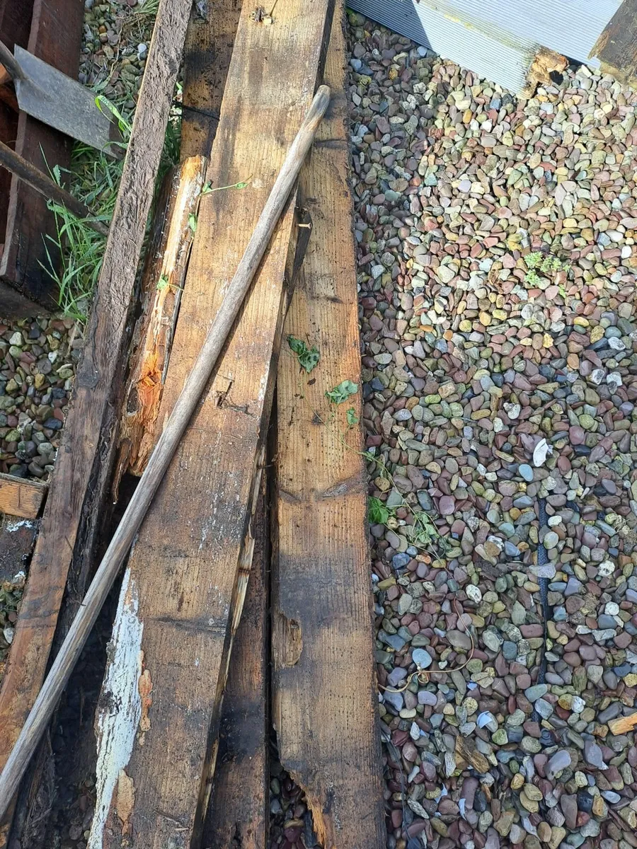 Wood - Image 3