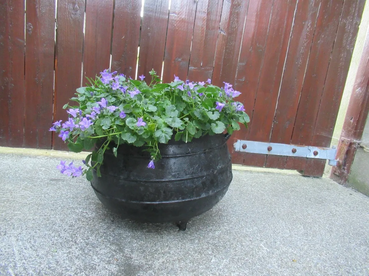 garden pot Black Cauldron iron antique vintage - Image 3