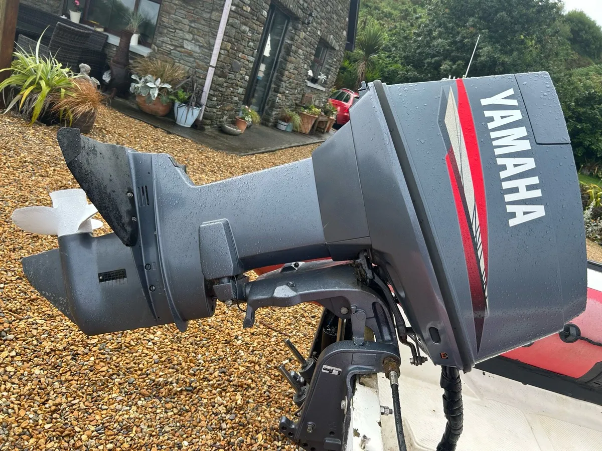 Rib 420 - Image 2