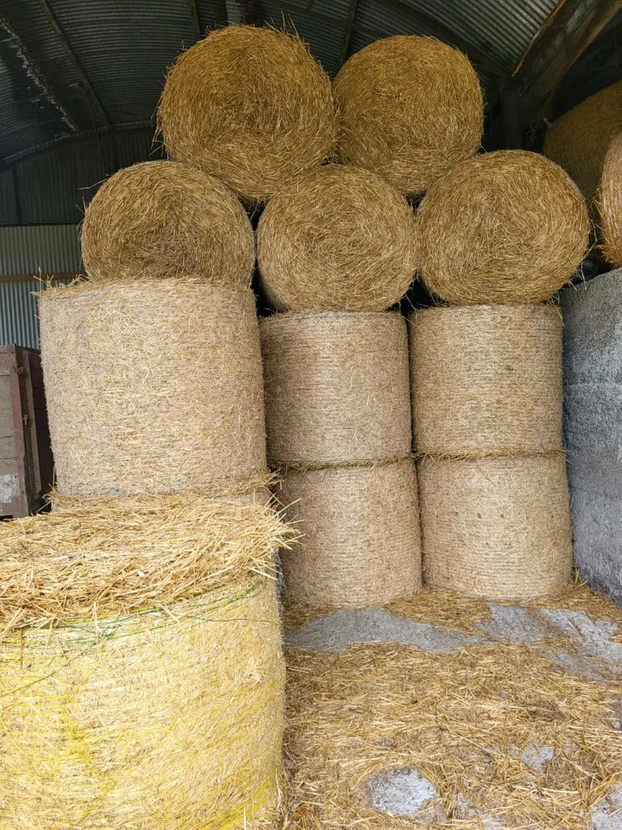 Straw - Image 1