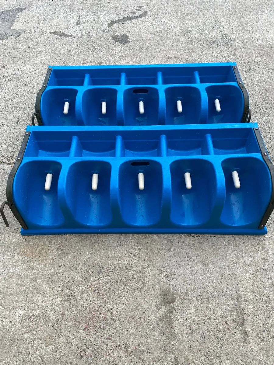 Calf milk feeders - Image 2