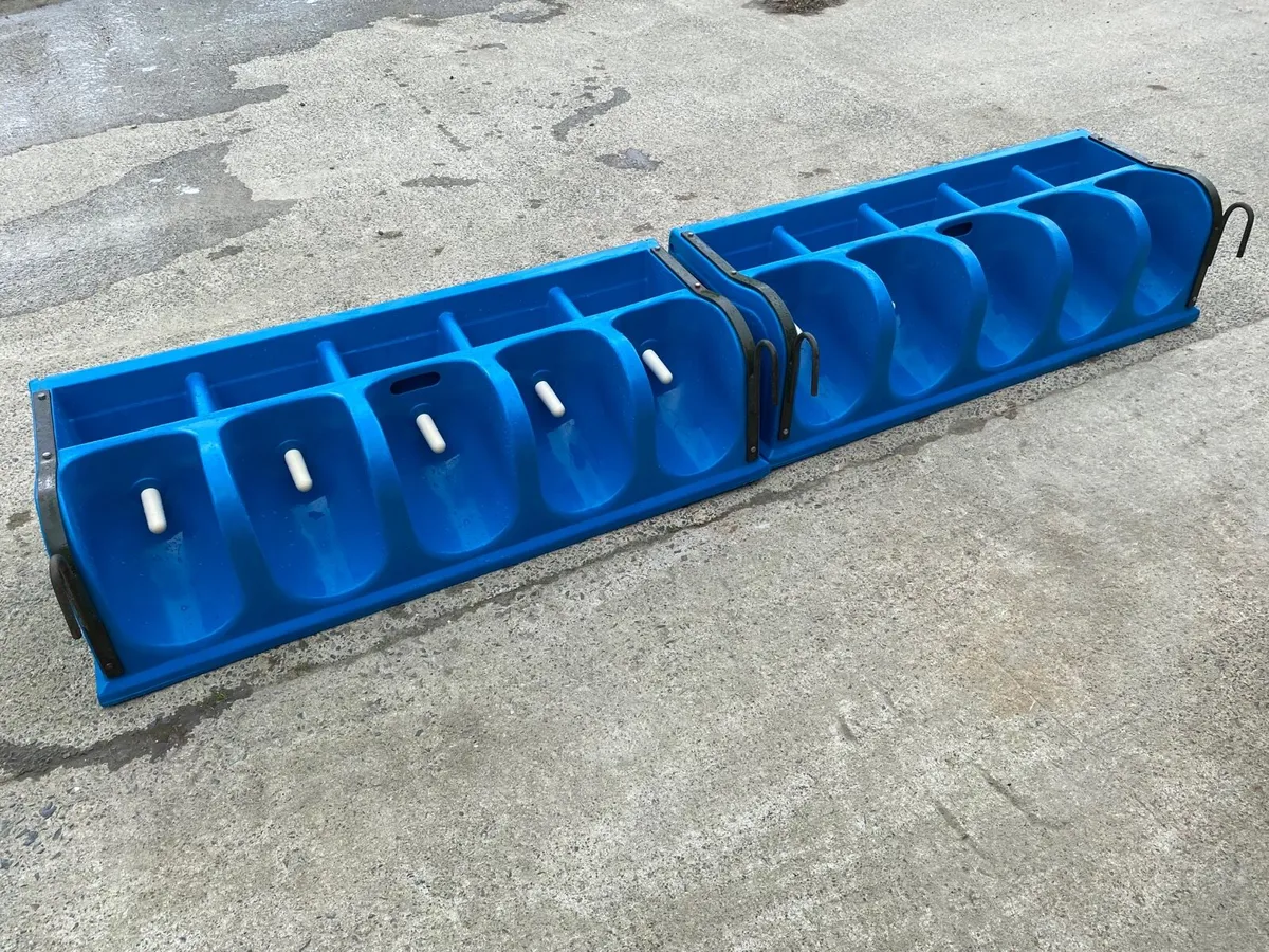 Calf milk feeders - Image 4
