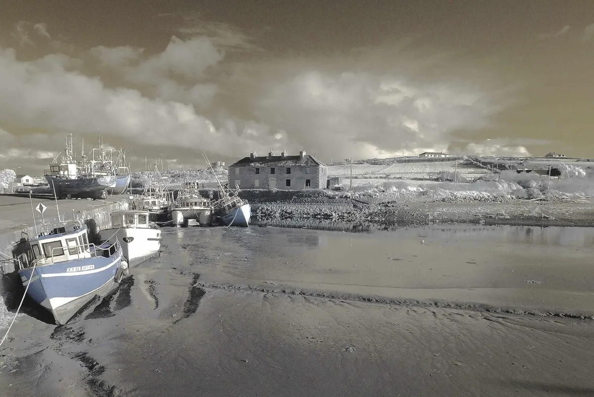Infrared converted Nikon D80 camera. - Image 2
