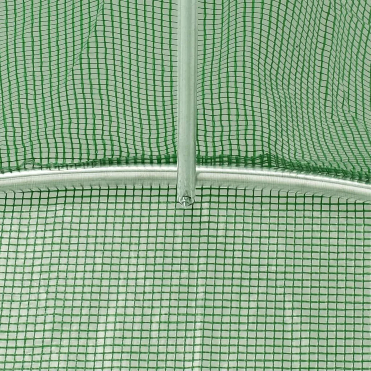 POLYTUNNEL - Image 3