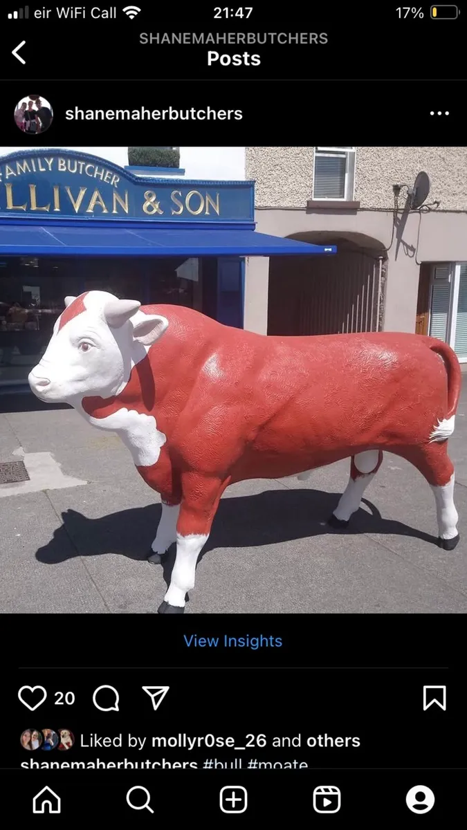 Full size bull - Image 1