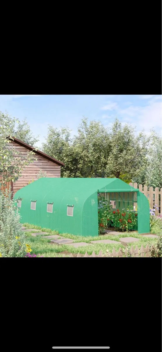POLYTUNNEL - Image 4