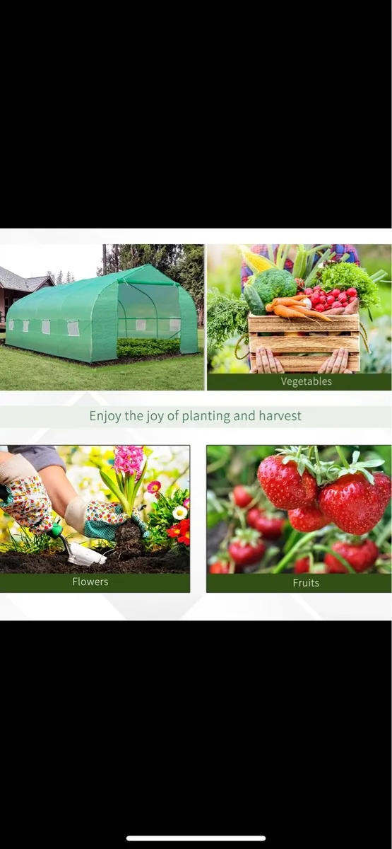 POLYTUNNEL - Image 1