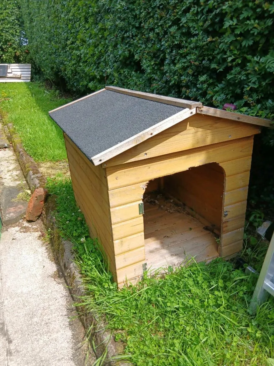 Dog kennel - Image 1