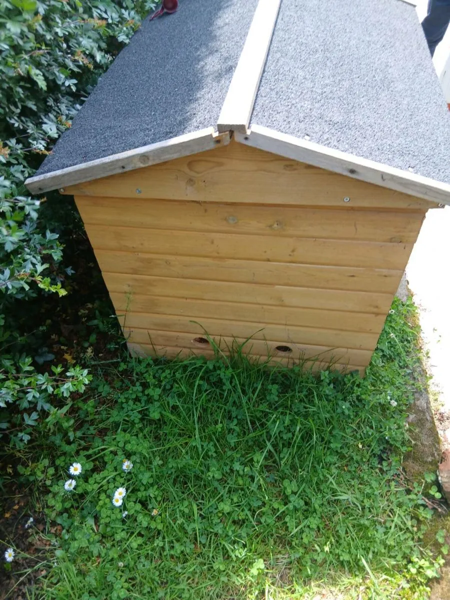 Dog kennel - Image 3