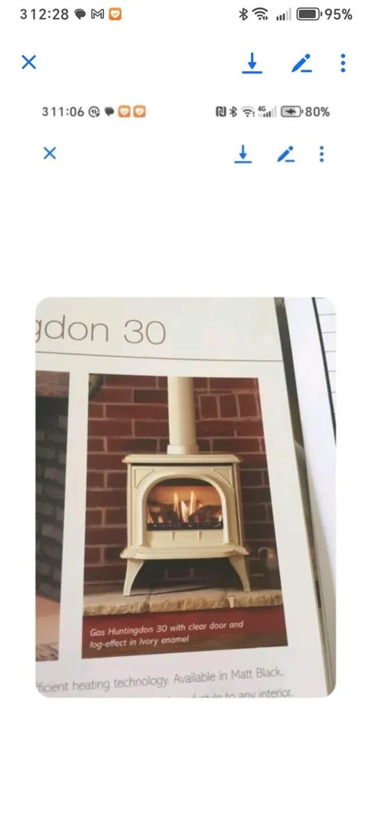 Gas fire stove