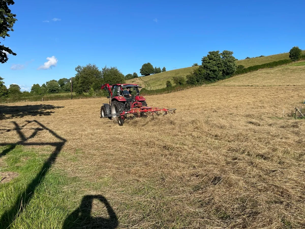 Hay - Small Square Bales - Image 2