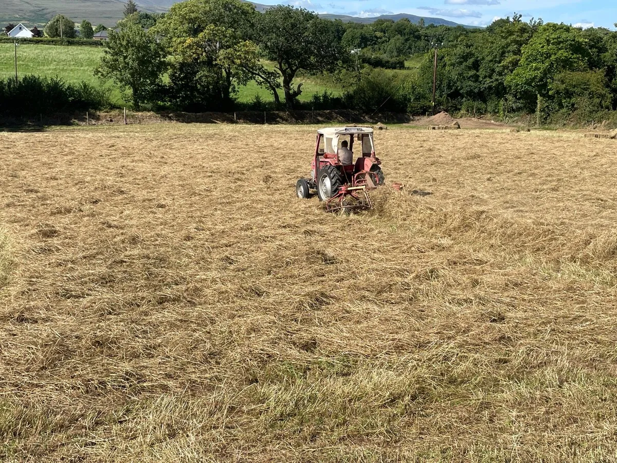 Hay - Small Square Bales - Image 1