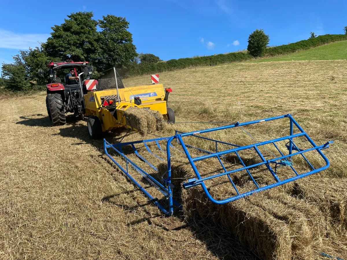Hay - Small Square Bales - Image 4