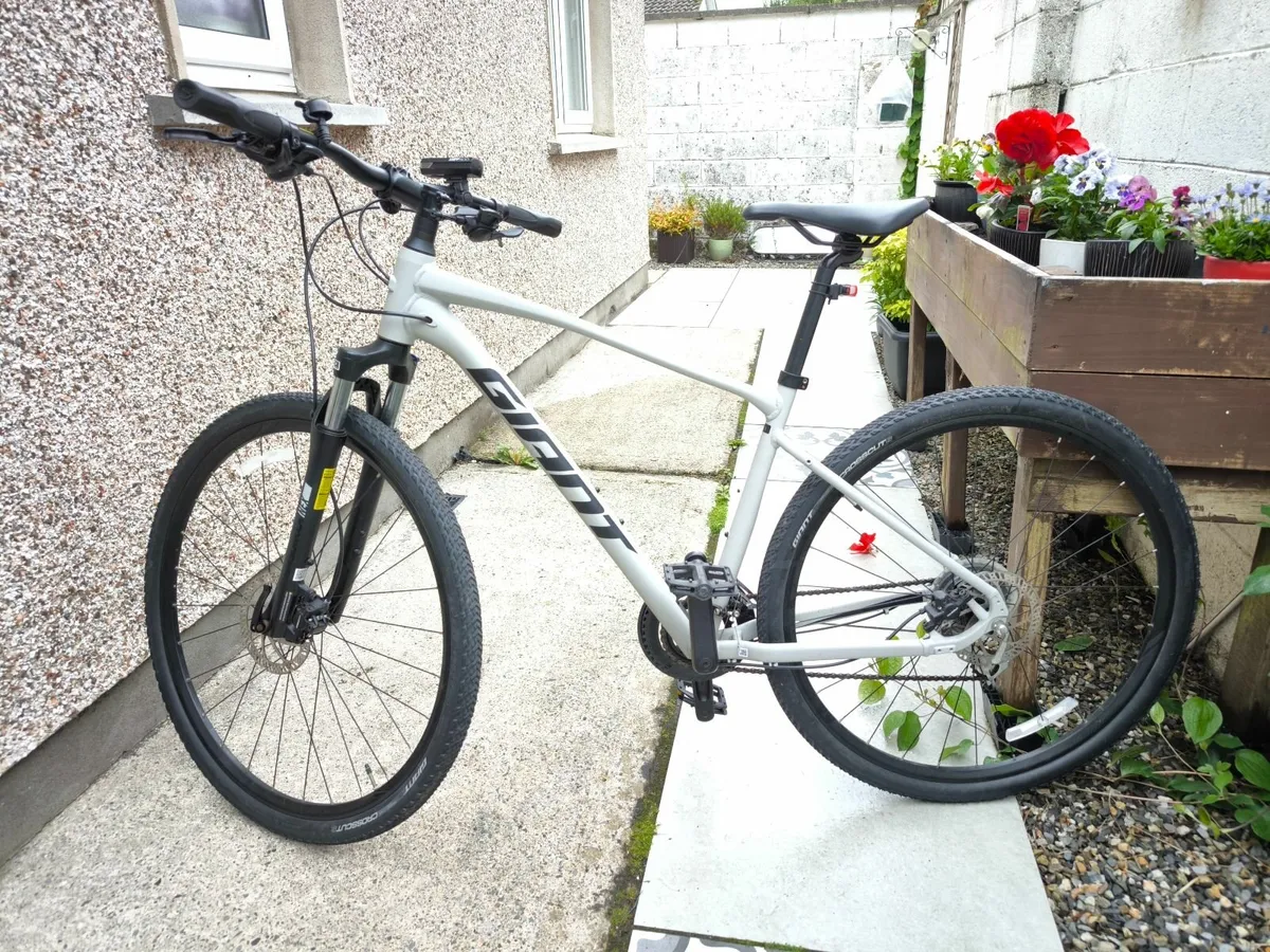 Giant Roam 3 Disc Hybrid Bike in Grey - Image 2