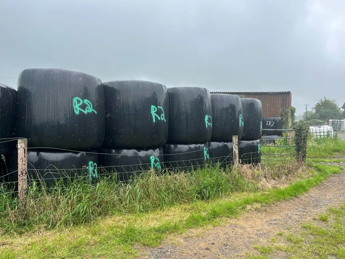Silage Bales