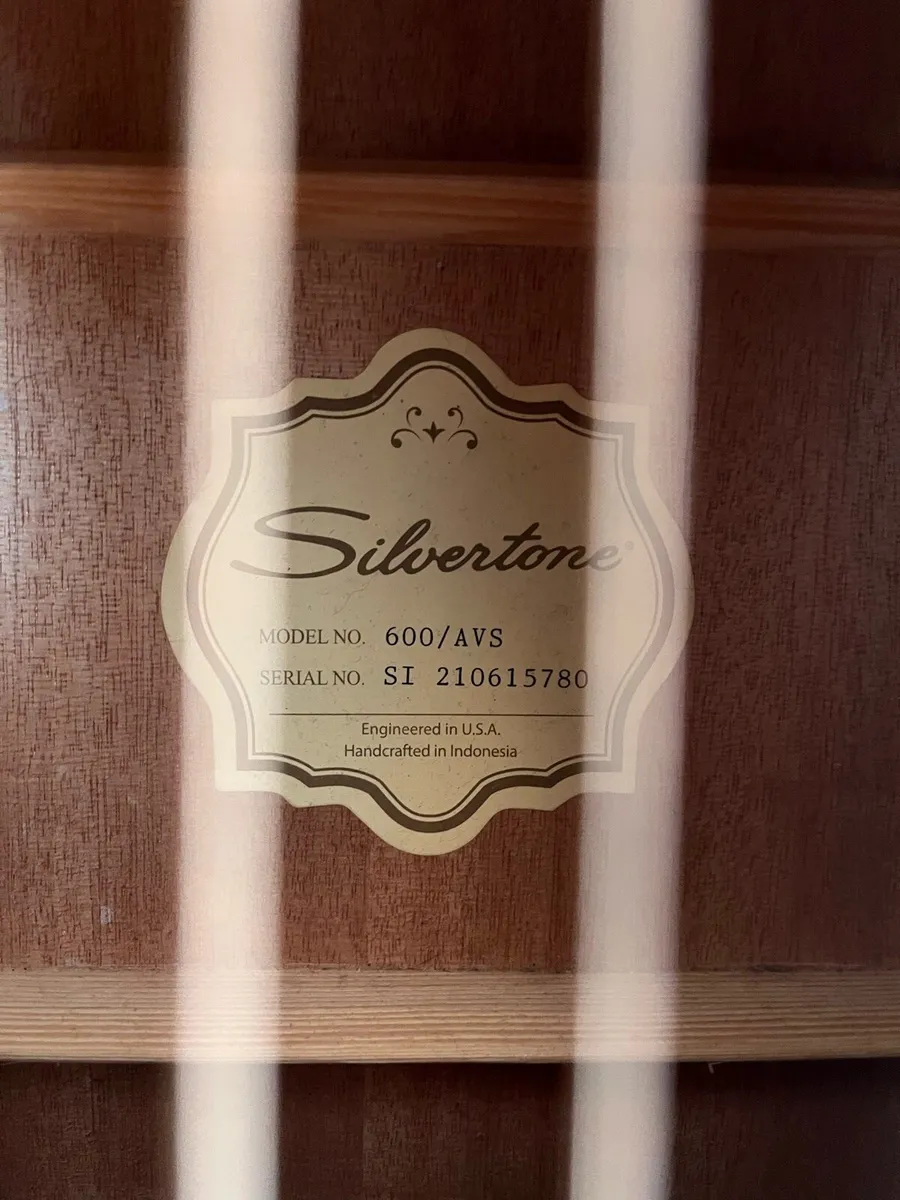 Silvertone Acoustic Guitar - Image 2
