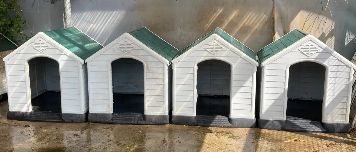 extra large pvc dog kennels