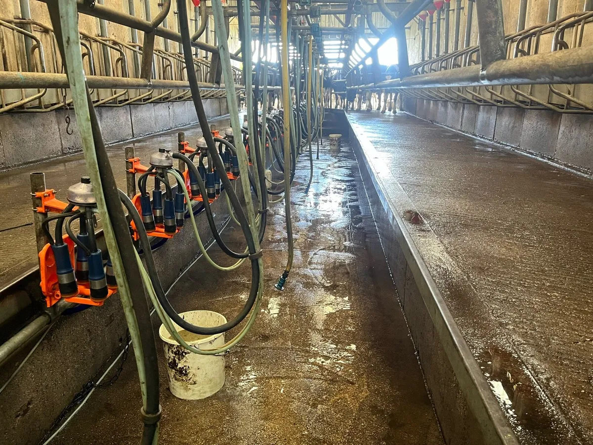 Power washing services - Image 4