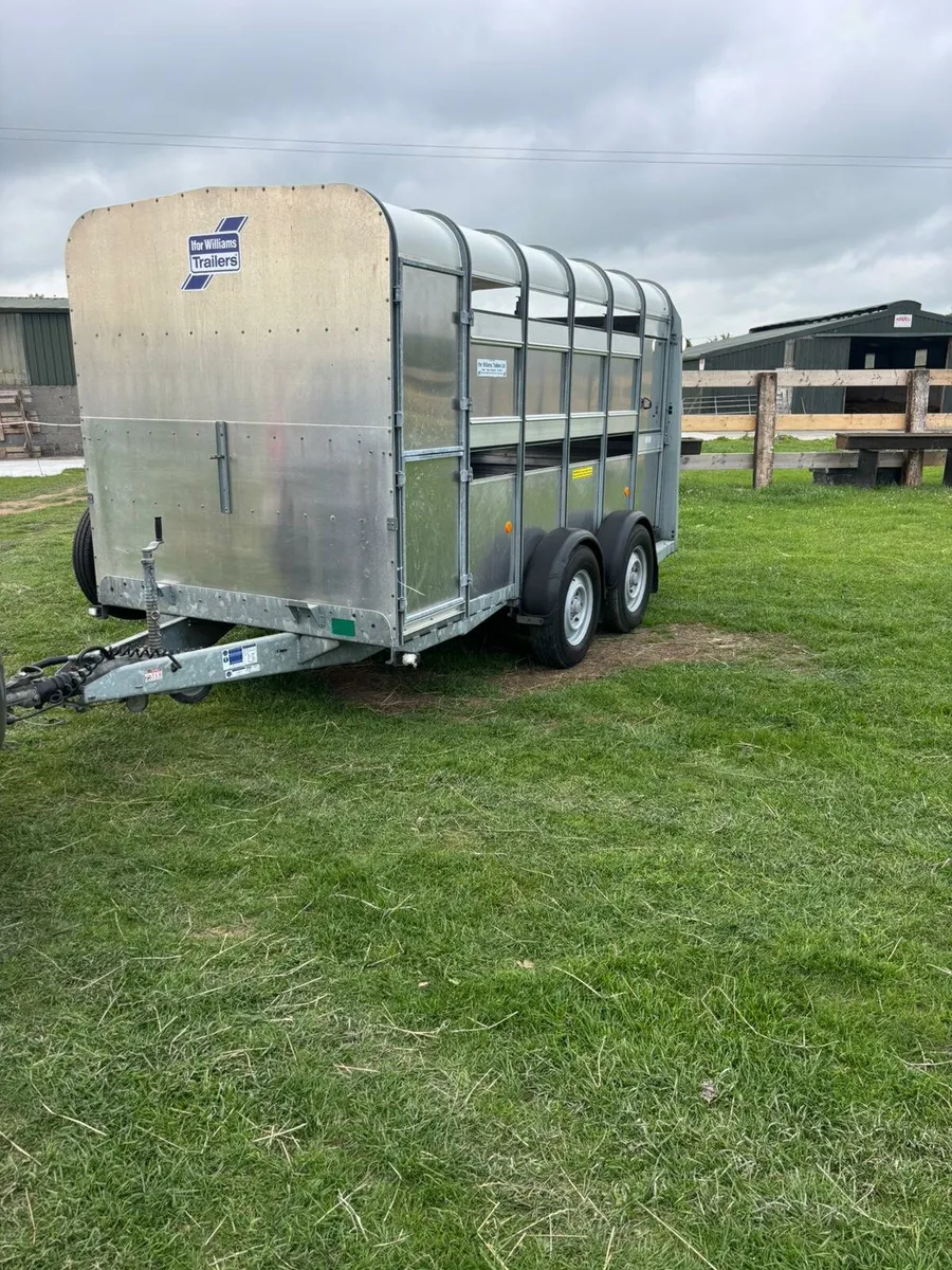 Ifor williams williams Sheep trailer - Image 2