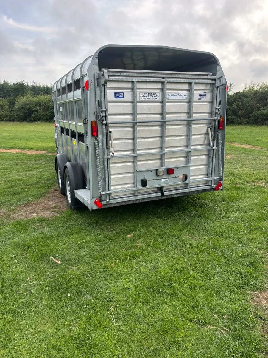 Ifor williams williams Sheep trailer - Image 3