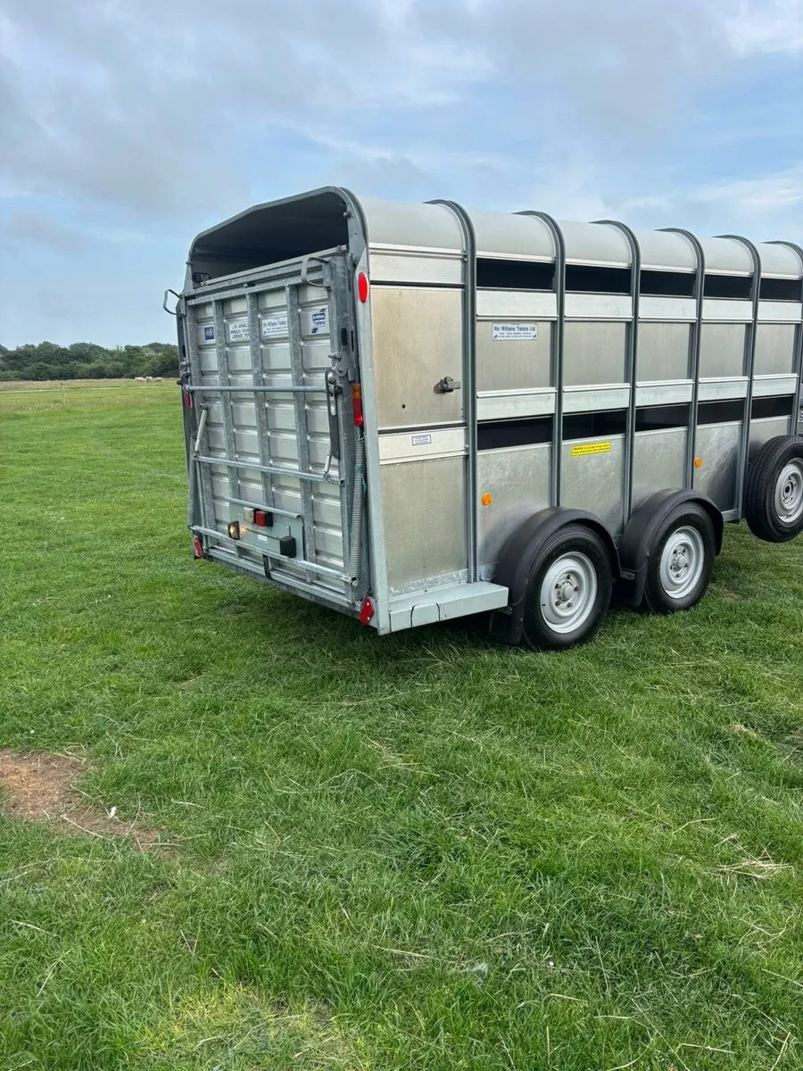 Ifor williams williams Sheep trailer - Image 4