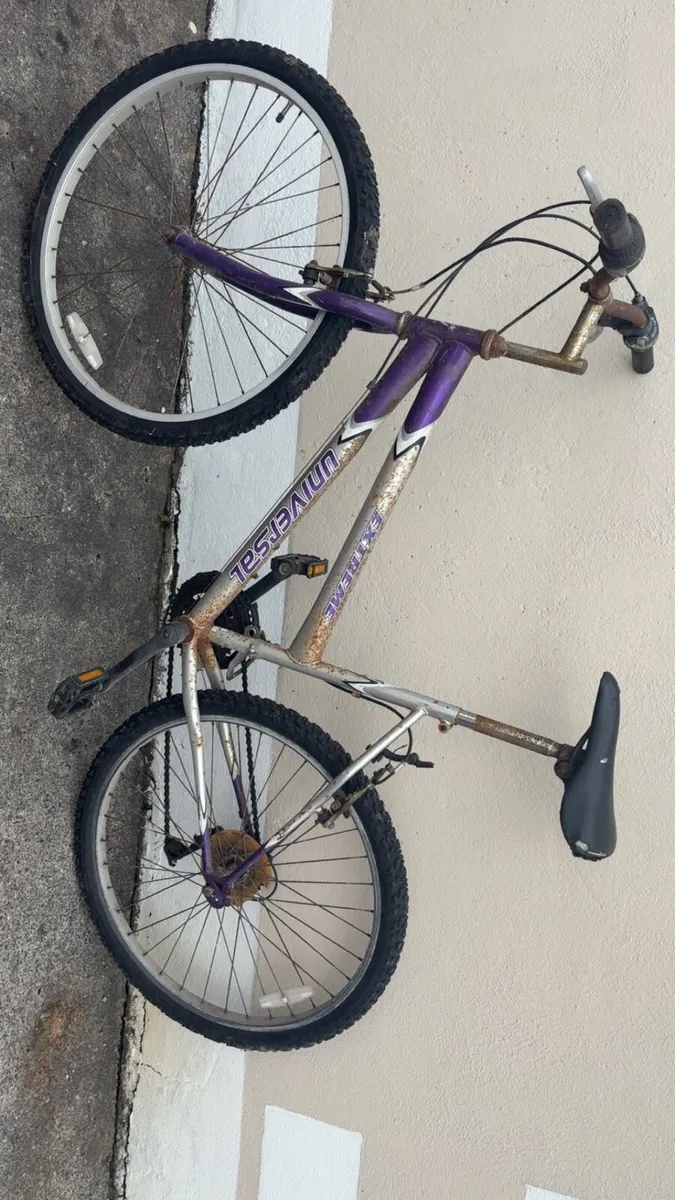 Adults bike